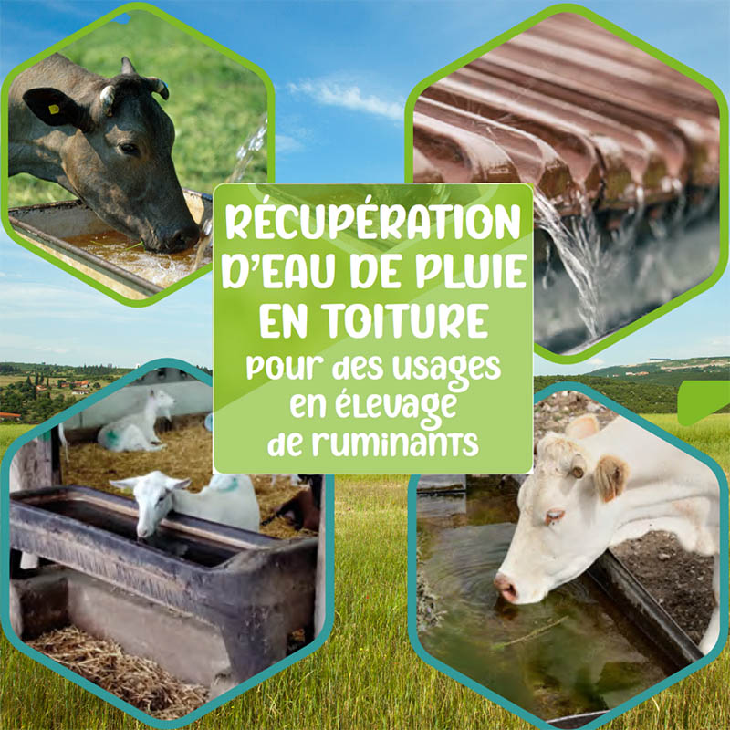 Illustration - Récupération eau de pluie
